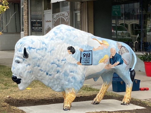 Fallen Sky Stone Buffalo Photo